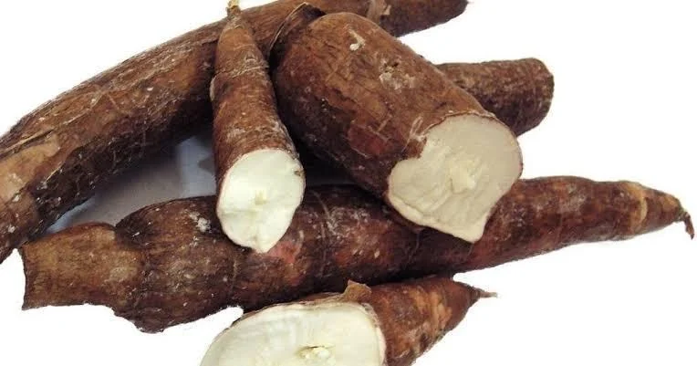 Cassava roots
