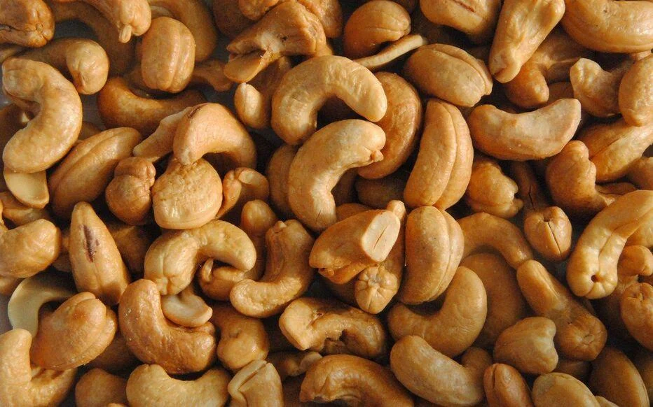 Raw cashew nuts in shell