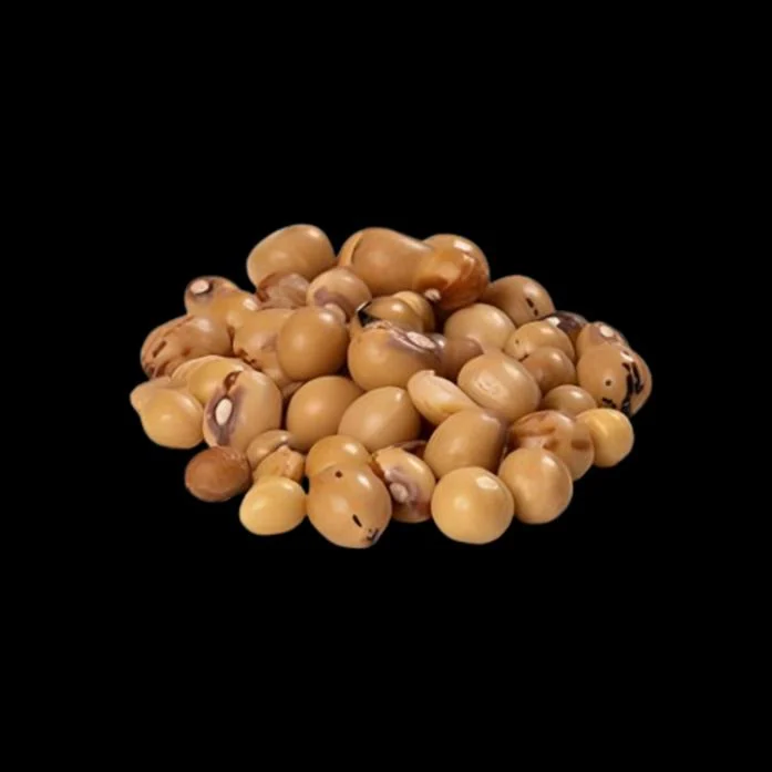 Bambara groundnuts