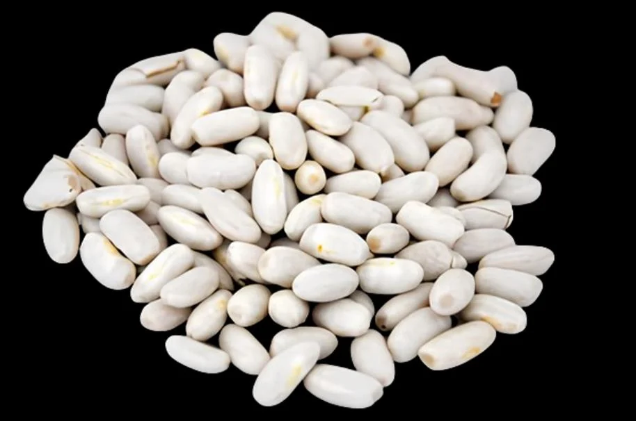 Tsaramaso common beans